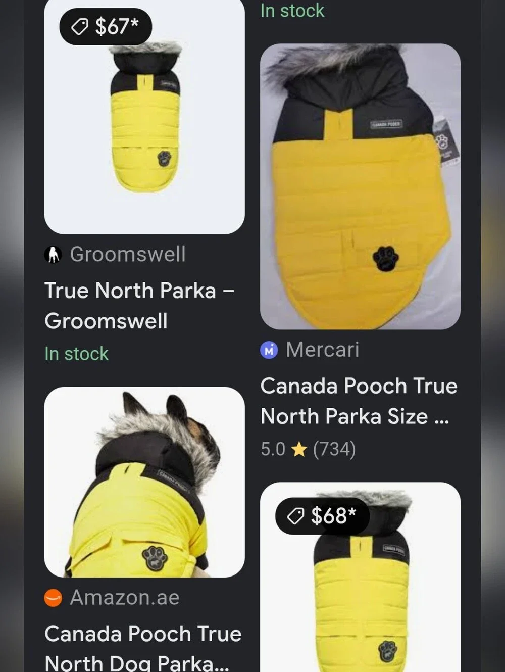 Canada Pooch size 14 True North Parka with Faux Fur Trim hood